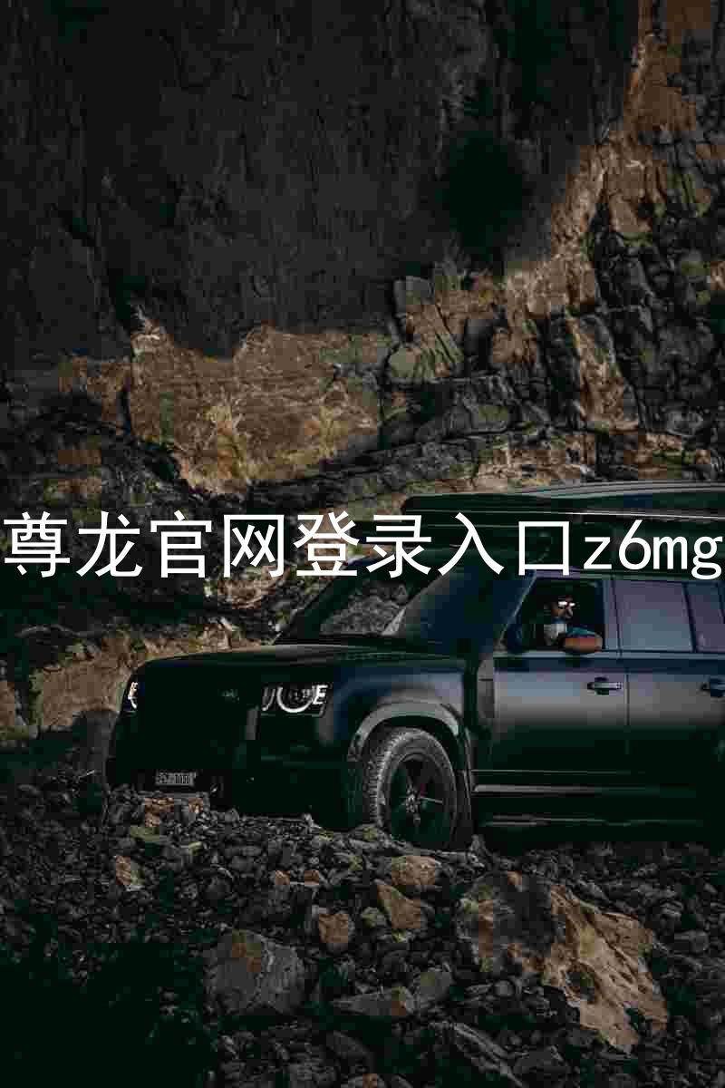 尊龙官网登录入口z6mg