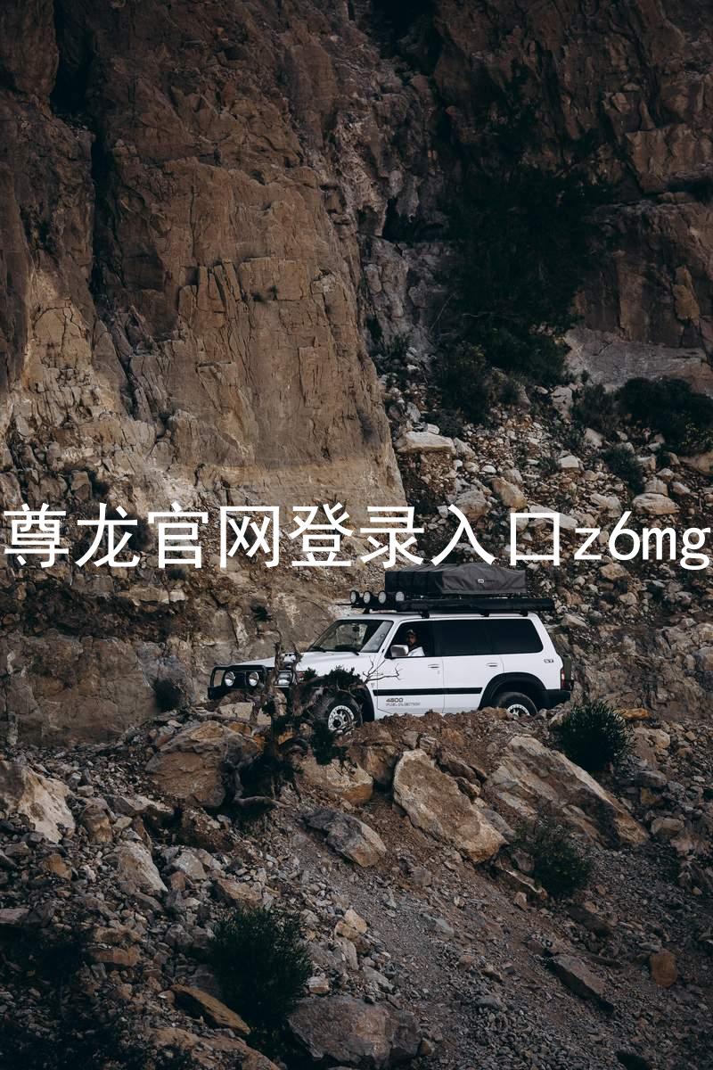 尊龙官网登录入口z6mg