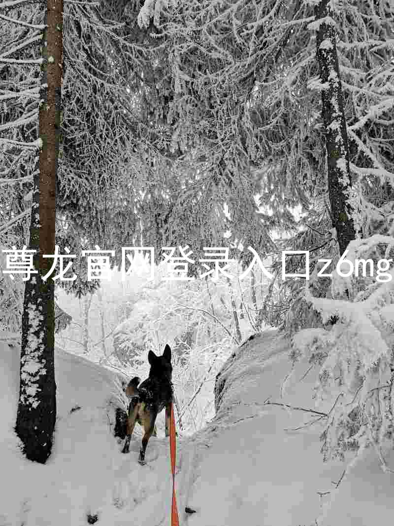 尊龙官网登录入口z6mg