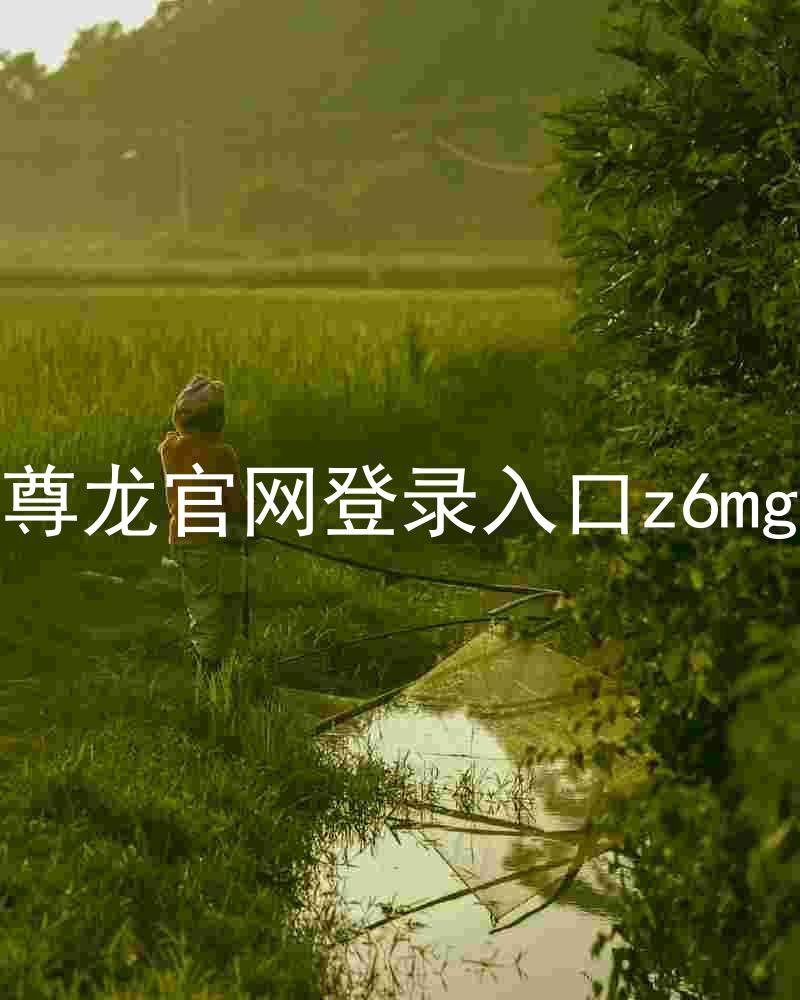 尊龙官网登录入口z6mg