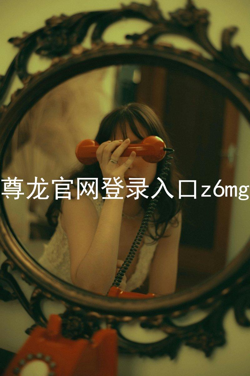 尊龙官网登录入口z6mg